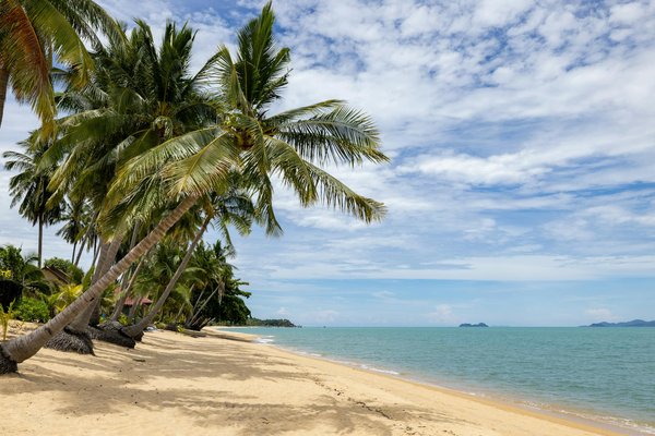 Quels sont les meilleurs spots pour faire de l'escalade en Andalousie, Espagne?