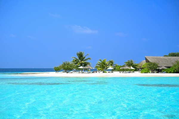 Où trouver les meilleures expériences de randonnée dans les montagnes de l'Apennin en Italie?